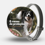 Colar Anti Pulgas e Carrapatos